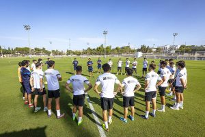 Continuidad a un proyecto al que se incorporan pocas piezas nuevas