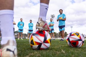 El VCF Mestalla acudirá al mercado con las cosas claras… pero limitado